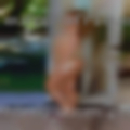 Horny women Pennsville